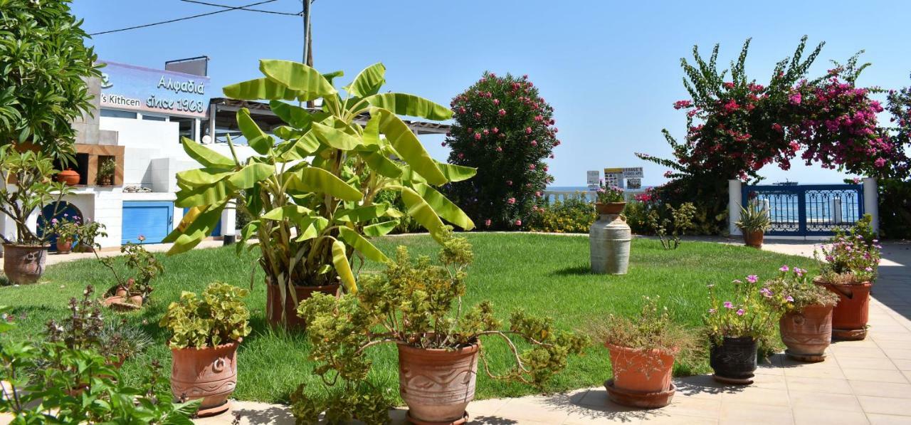 Appartement Antonios Stegna *